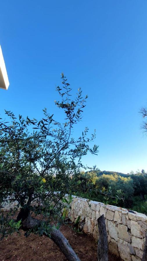 Sweet Home Himara מראה חיצוני תמונה